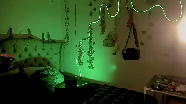 Cata_MWのウェブカメラショー