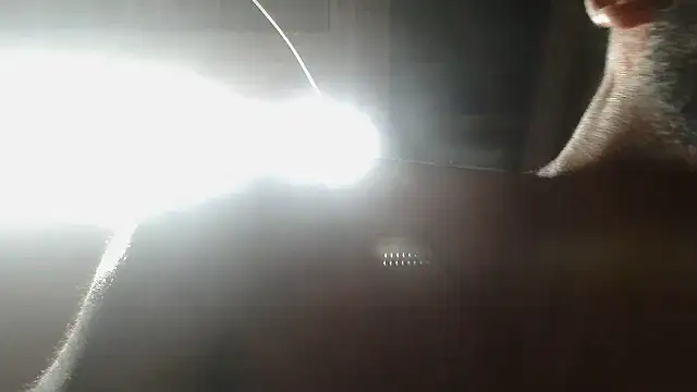 Chatroom XXX en direct de Camodick