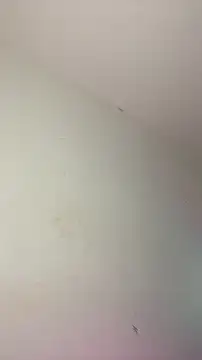 NikitaDragunXXX 在線直播表演