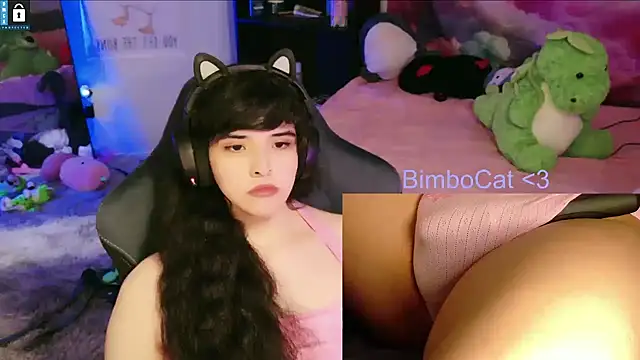 Show Webcam de BimboCat