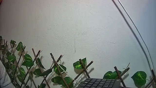 Show de nicoltatiana_ na webcam