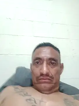 Innsaciable 网络视讯表演