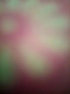 Nandani-758's Webcam Show