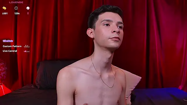 VicenteFerrer Show Webcam