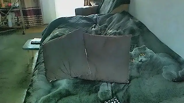 Czat XXX na żywo – sex2