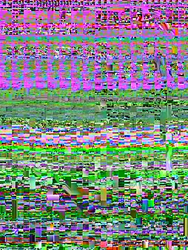 _ViktoriaGrand_ Chat XXX live