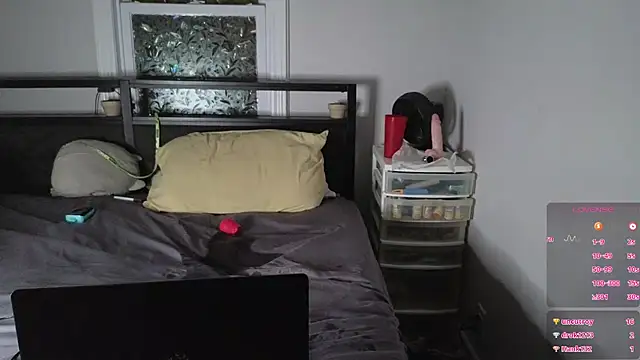 ThickandDesirable – Live XXX-chat