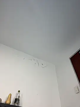 dani_belaのライブXXXチャット