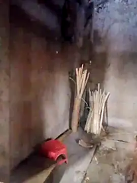 Chat XXX en directo de Wella-bae