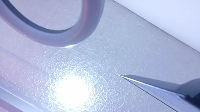 vanessarodriguez69n Webbikameraesitys