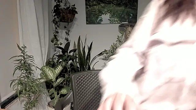 Chat XXX en directo de sexnherbs