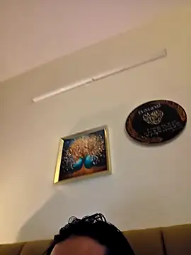 Talha266のウェブカメラショー