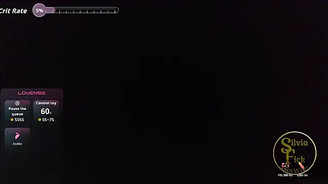 Silvia_Fickn Webbikameraesitys