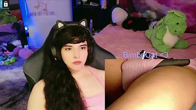 BimboCat: вебкам-шоу