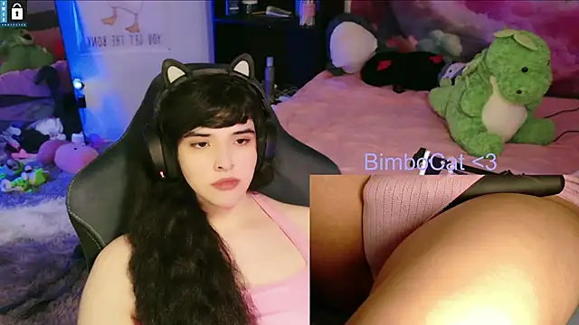 BimboCat: вебкам-шоу