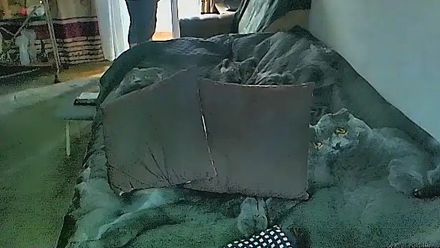 Czat XXX na żywo – sex2