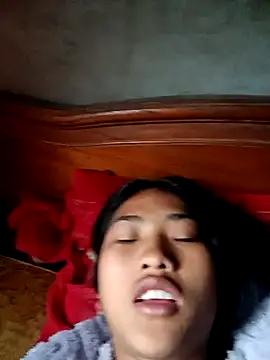 Hoa-tuylip – webcam-show