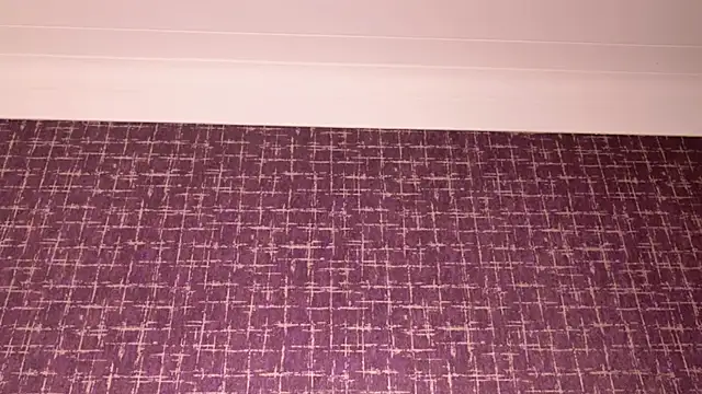 mollyjackson_ 라이브 XXX 채팅