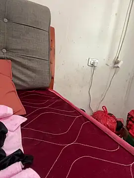 Show Webcam de crhong666