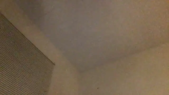 frenchiego: διαδικτυακό σόου στην κάμερα