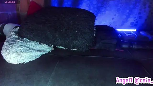 Cata-angel 即時 XXX 聊天