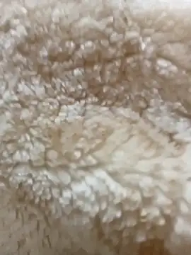 patrona_sexy0's Live XXX Chat