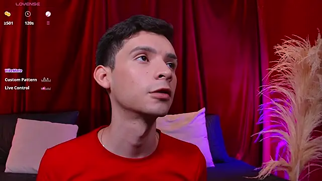 VicenteFerrer Show Webcam