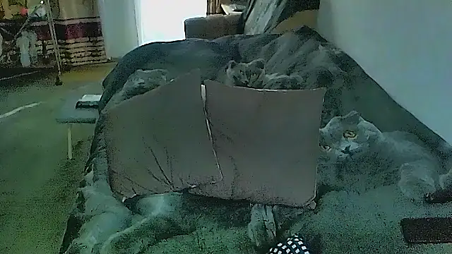 Онлайн чат XXX sex2