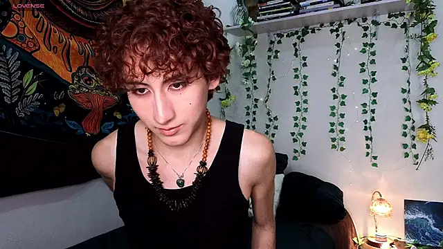 Show webcam de noynxz