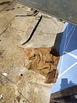 RAYI_Queen_4 即時 XXX 聊天