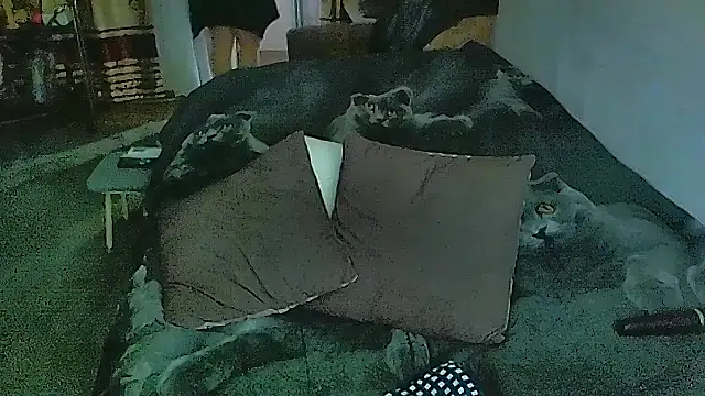 Chat XXX en directo de sex2