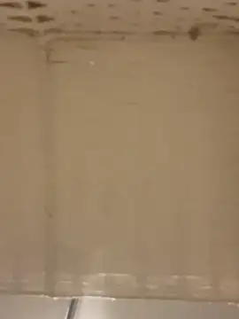 lexuslover687 Chat XXX in diretta