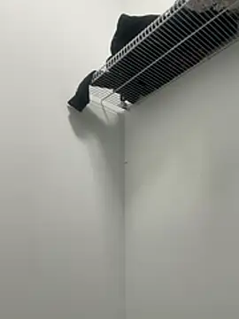 ZF-Athlete's Live XXX Chat