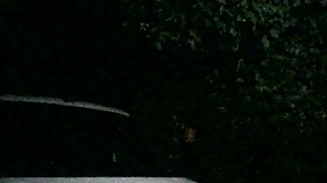 Tukutwo – Live XXX-chat