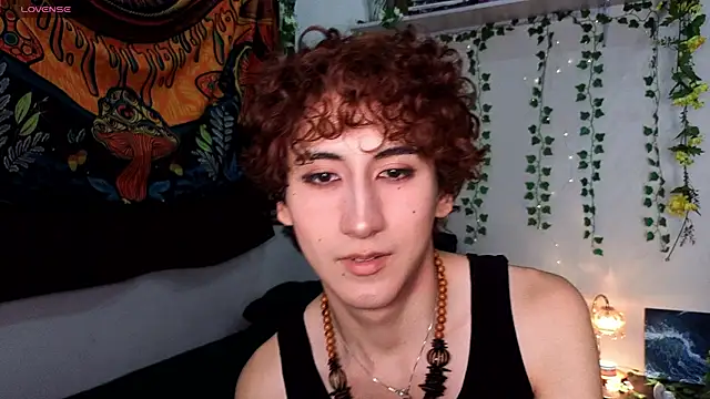 Show webcam de noynxz