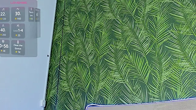 Show Webcam de Nathaniel_Park