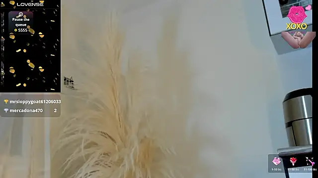 Chat +18 de Sammy-Jhonson ao vivo