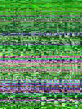 arberry's Live XXX Chat