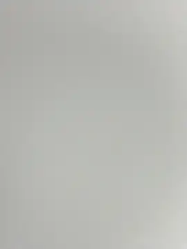 Show modela Rasdick na web-kameri