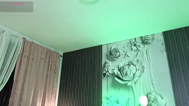 Paulo_527 – Kamerová šou