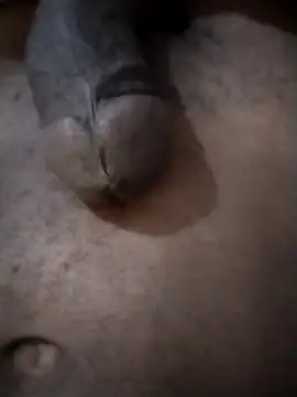 Chatroom XXX en direct de Piazza21