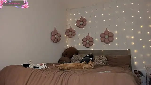 Chat +18 de Eva_flower ao vivo