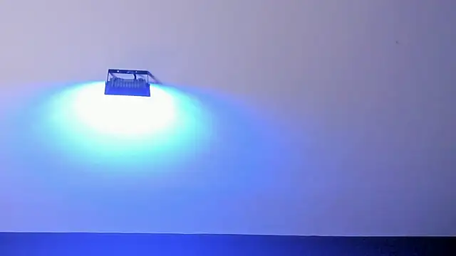 Amy_whittee Live XXX-Chat