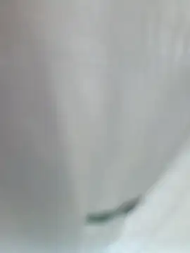 Nasty2girls 라이브 XXX 채팅