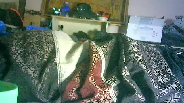 GUAPAN3S3_FIR3 élő XXX-chatje