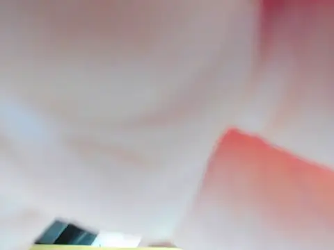 Anime901 Live XXX Chat