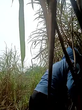 nangmo élő XXX-chatje