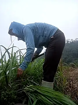 nangmo 在線直播表演