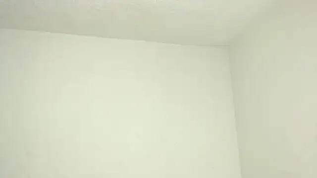 Alex_mojica Webcam Show