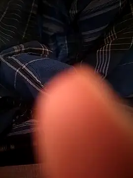 Tamilcbebbcのウェブカメラショー